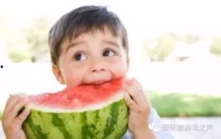 家长淡定吃瓜完整视频,揭秘家庭教育新风尚