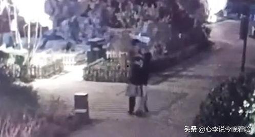 阜南吃瓜事件视频曝光,视频曝光揭示惊人真相