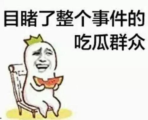 吃瓜群众阿姨解说视频,揭秘吃瓜群众背后的故事