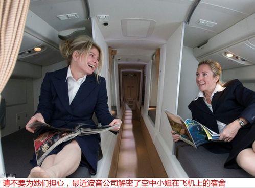 空少空姐吃瓜视频,吃瓜视频背后的真实故事